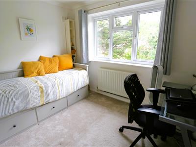 Picture 8